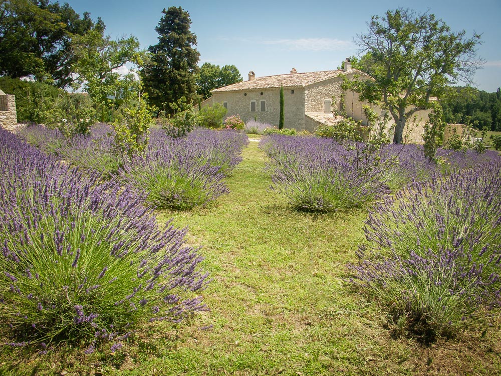 Entretien de jardin dans la Drôme